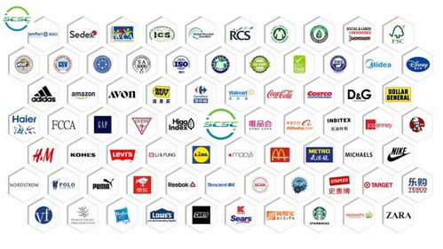 企業(yè) GSS 驗(yàn)廠無(wú)憂 智慧行定制化咨詢，高效拿證拓市場(chǎng)