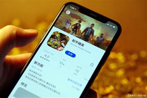網絡手游下載與廠家 技術服務的全面解析